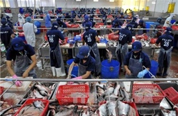Hoa Kỳ cam kết không cản trở Việt Nam xuất khẩu cá tra